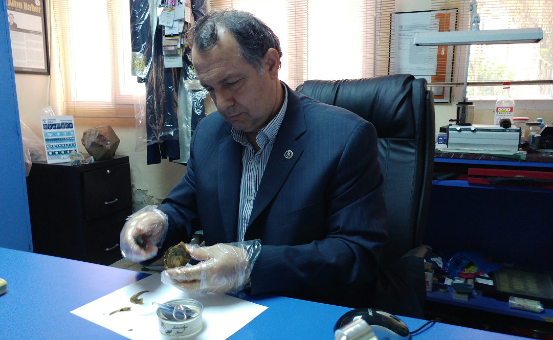 Prof. Dr. Murat HATIPOGLU Open an oyster